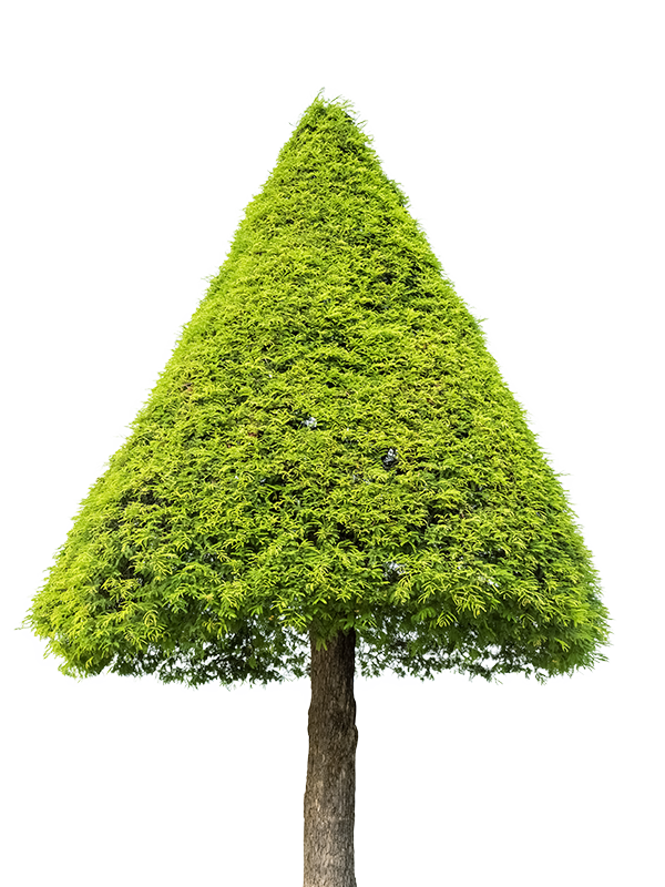 Specijalne forme topijara